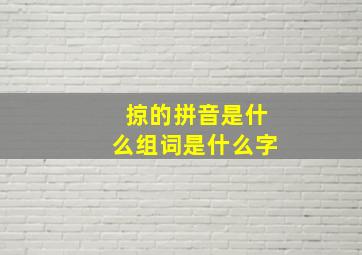 掠的拼音是什么组词是什么字