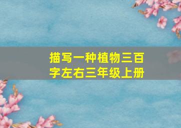 描写一种植物三百字左右三年级上册