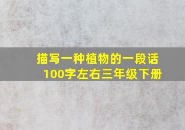 描写一种植物的一段话100字左右三年级下册