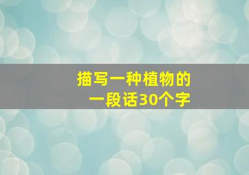 描写一种植物的一段话30个字