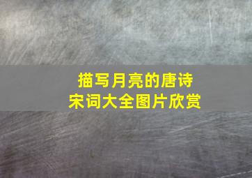 描写月亮的唐诗宋词大全图片欣赏