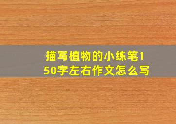 描写植物的小练笔150字左右作文怎么写