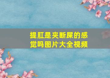 提肛是夹断屎的感觉吗图片大全视频