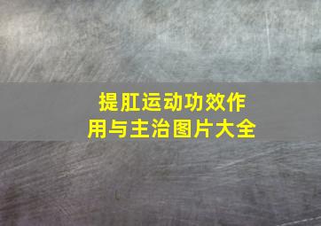 提肛运动功效作用与主治图片大全