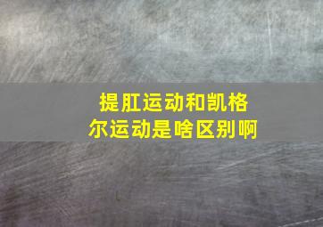 提肛运动和凯格尔运动是啥区别啊