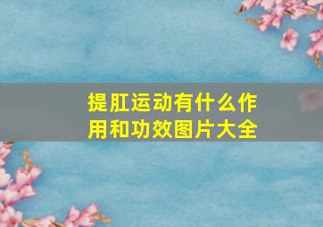 提肛运动有什么作用和功效图片大全