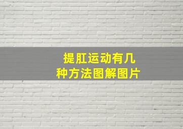 提肛运动有几种方法图解图片