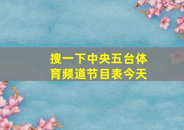 搜一下中央五台体育频道节目表今天