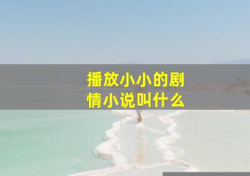 播放小小的剧情小说叫什么