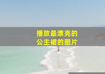 播放最漂亮的公主裙的图片