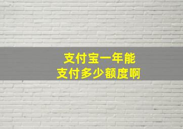 支付宝一年能支付多少额度啊