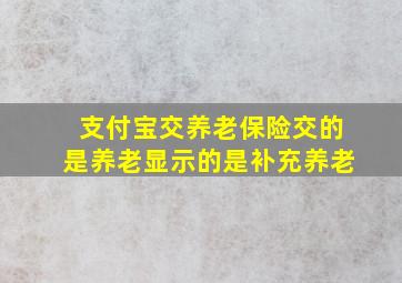 支付宝交养老保险交的是养老显示的是补充养老