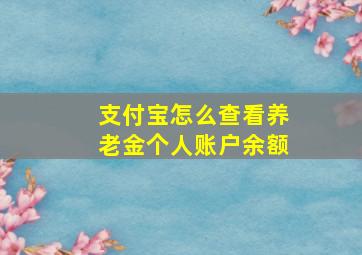 支付宝怎么查看养老金个人账户余额