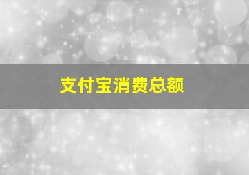 支付宝消费总额