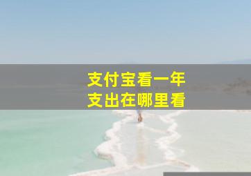 支付宝看一年支出在哪里看