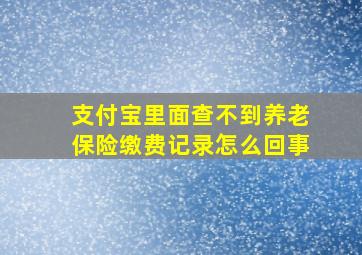 支付宝里面查不到养老保险缴费记录怎么回事