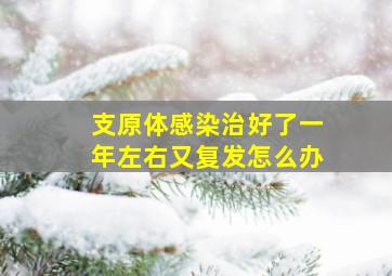 支原体感染治好了一年左右又复发怎么办