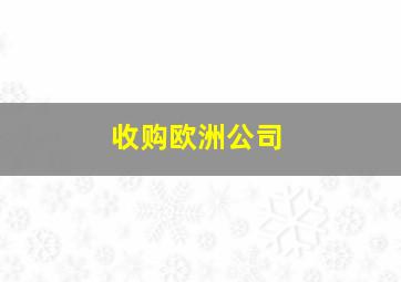 收购欧洲公司