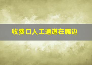 收费口人工通道在哪边