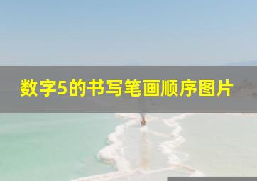 数字5的书写笔画顺序图片