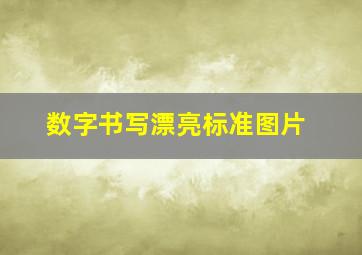 数字书写漂亮标准图片