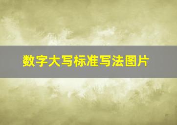 数字大写标准写法图片