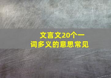 文言文20个一词多义的意思常见