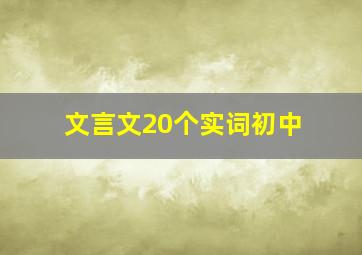 文言文20个实词初中