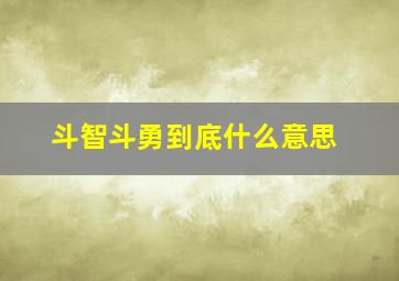 斗智斗勇到底什么意思