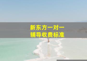 新东方一对一辅导收费标准