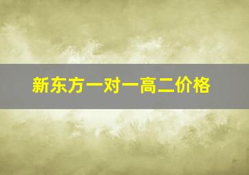 新东方一对一高二价格