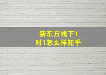 新东方线下1对1怎么样知乎