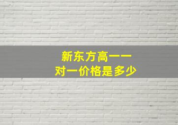 新东方高一一对一价格是多少