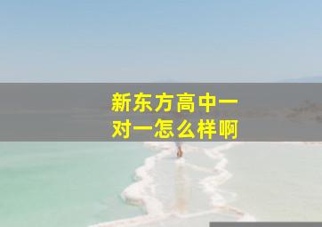 新东方高中一对一怎么样啊