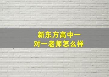 新东方高中一对一老师怎么样