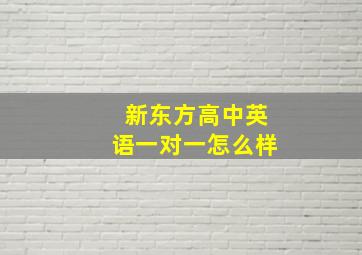 新东方高中英语一对一怎么样