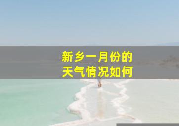 新乡一月份的天气情况如何