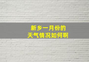 新乡一月份的天气情况如何啊