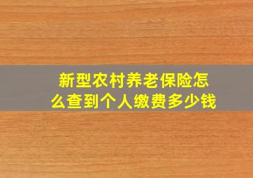 新型农村养老保险怎么查到个人缴费多少钱