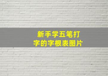 新手学五笔打字的字根表图片