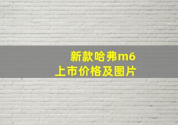 新款哈弗m6上市价格及图片