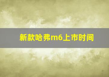 新款哈弗m6上市时间