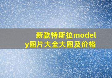 新款特斯拉modely图片大全大图及价格