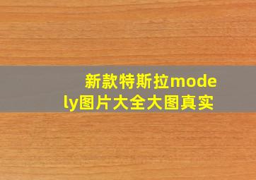 新款特斯拉modely图片大全大图真实