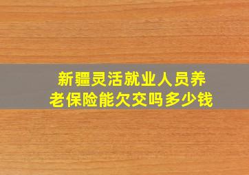 新疆灵活就业人员养老保险能欠交吗多少钱