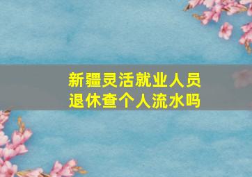 新疆灵活就业人员退休查个人流水吗