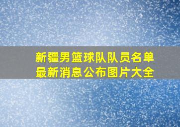 新疆男篮球队队员名单最新消息公布图片大全