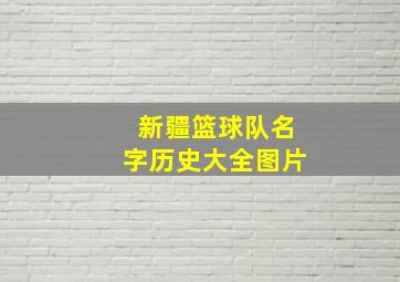 新疆篮球队名字历史大全图片