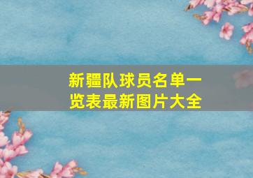 新疆队球员名单一览表最新图片大全