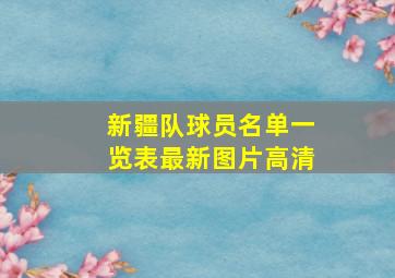 新疆队球员名单一览表最新图片高清